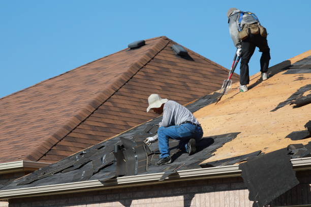 Best Storm Damage Roof Repair  in Ashwaubenon, WI